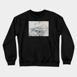 Freischwimmer Crewneck Sweatshirt